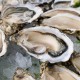 12 huîtres creuses ouvertes calibre 4 - Uniquement secteur Vannes/Auray