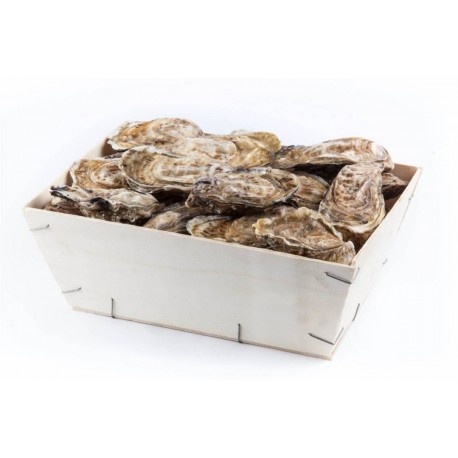 Bourriche 4 douzaines huîtres creuses calibre 3 - Uniquement secteur Vannes/Auray