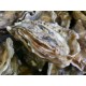 Bourriche 2 douzaines huîtres creuses calibre 4 - Uniquement secteur Vannes/Auray
