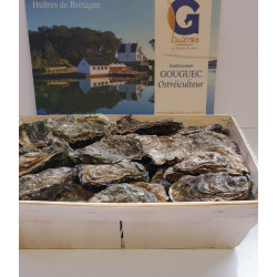 100 huîtres creuses bretonnes calibre 5 - Expédition France